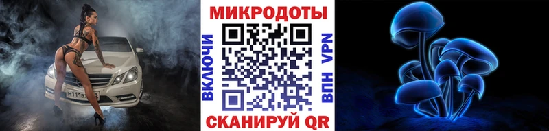 наркошоп  Камызяк  Псилоцибиновые грибы Psilocybine cubensis 
